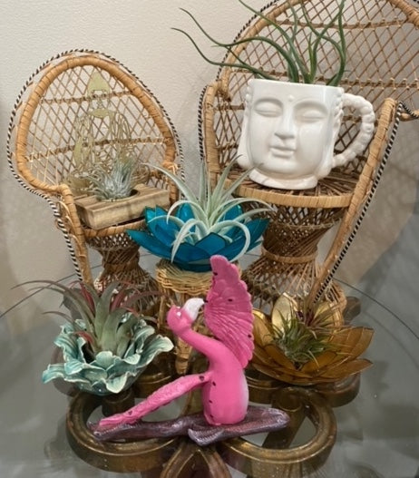 Yoga &amp; Relaxation Planters