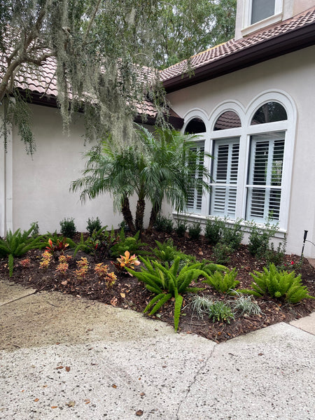 Landscape Design & Installation Consultation