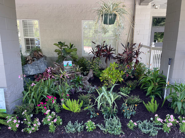 Landscape Design & Installation Consultation