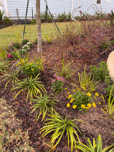 Landscape Design & Installation Consultation