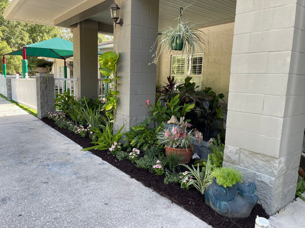 Landscape Design & Installation Consultation