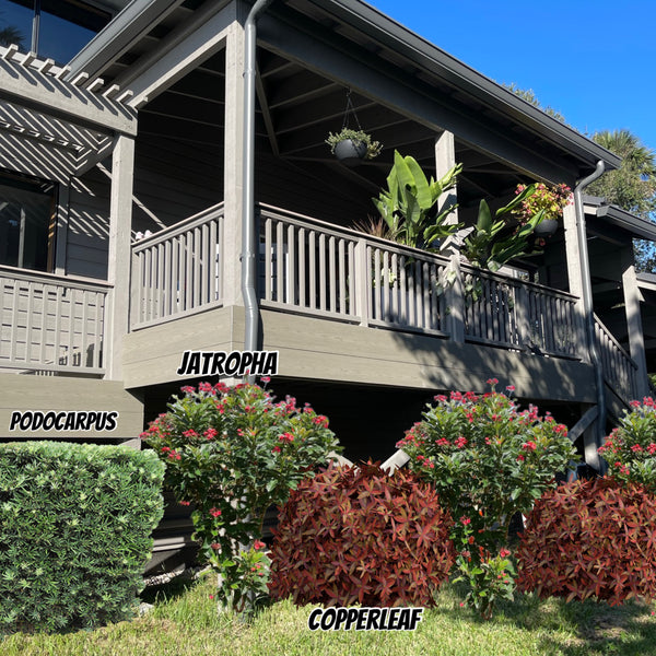 Landscape Design & Installation Consultation