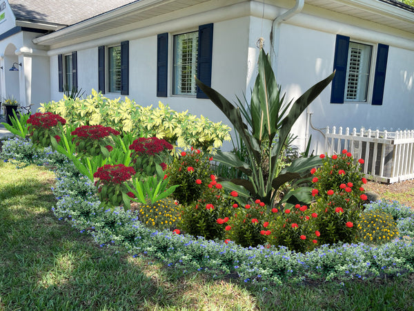 Landscape Design & Installation Consultation