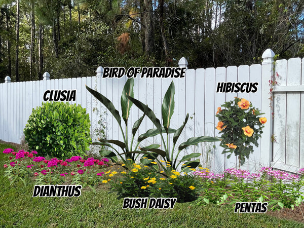 Landscape Design & Installation Consultation