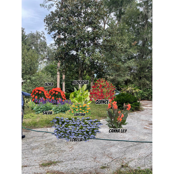 Landscape Design & Installation Consultation