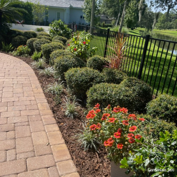 Landscape Design & Installation Consultation