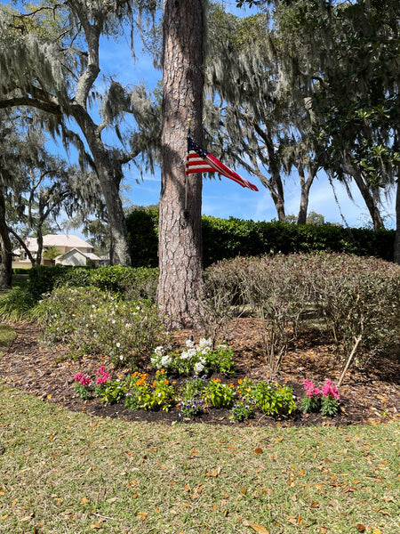 Landscape Design & Installation Consultation