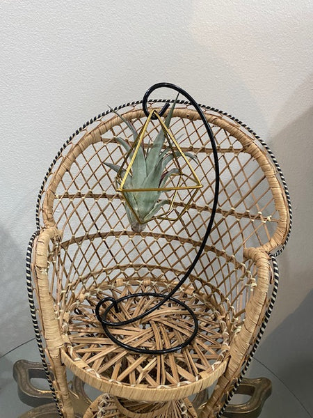 Hanging Hook Air Plant Stand