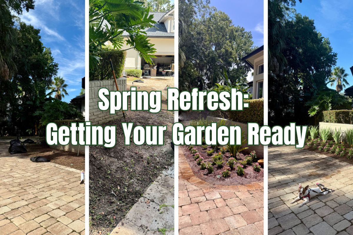 Spring Refresh: Getting Your Garden Ready