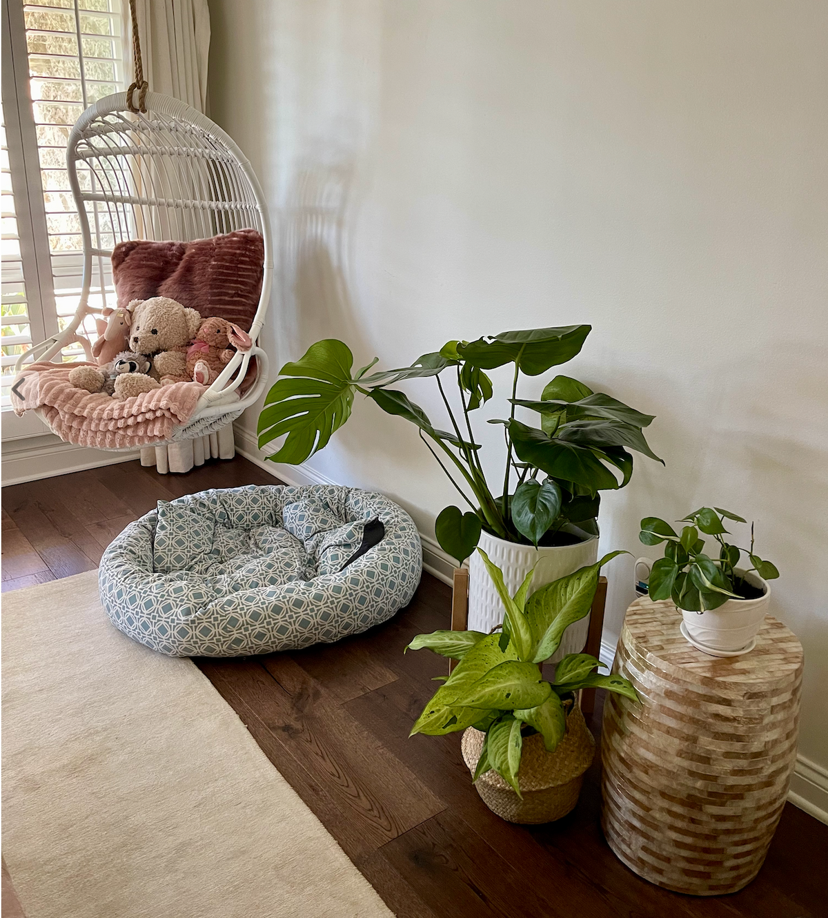 3 Benefits of Indoor Plants