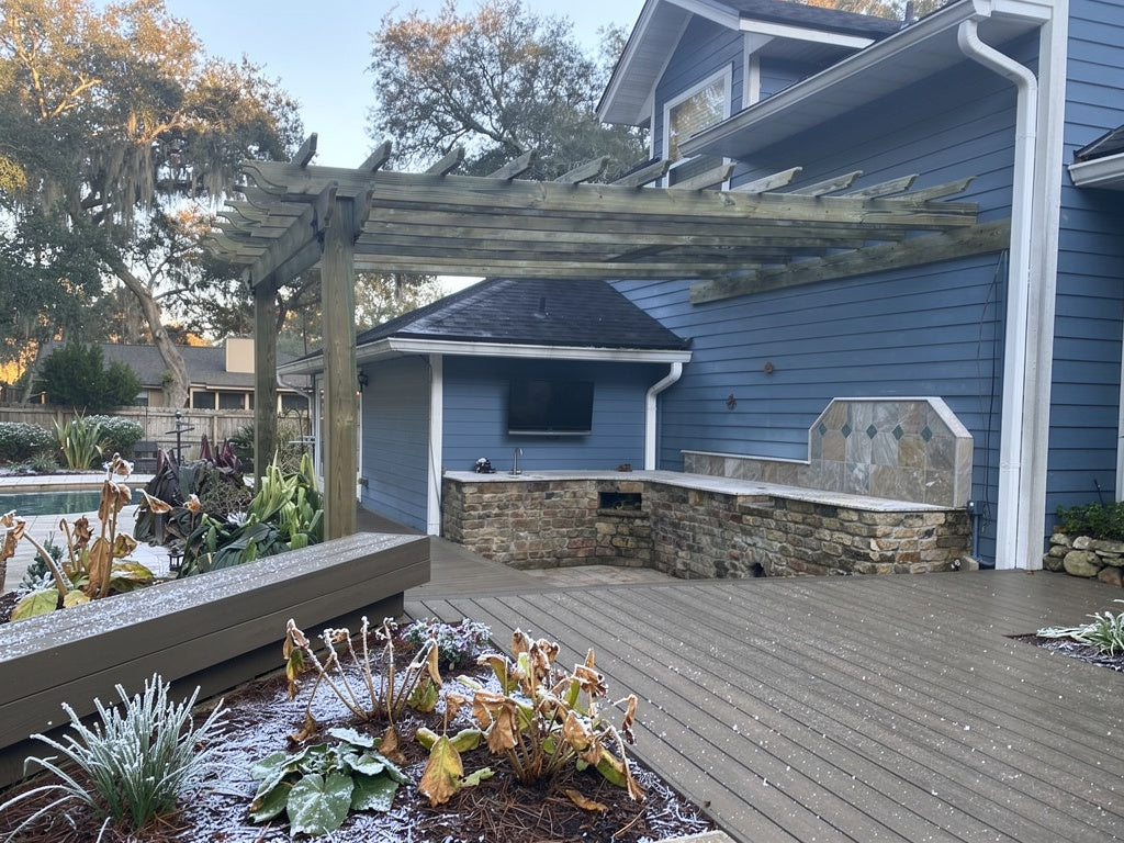 Frost Recovery Tips for North Florida Plants