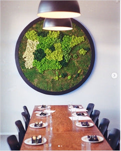 Moss Wall Art