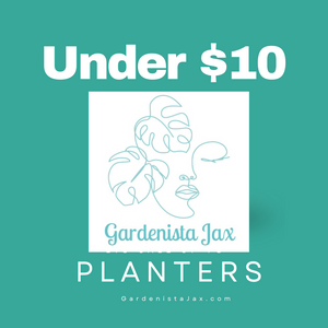 $10 and Under Planters Sale