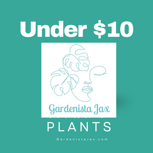$10 and Under Plants Sale