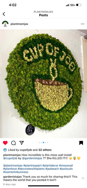 Moss Wall Creation Consultation