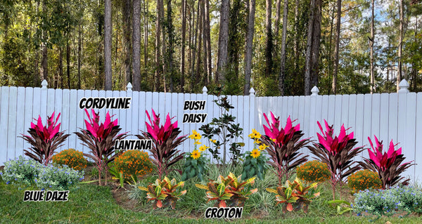 Virtual Landscape Advice with Planning Consultation
