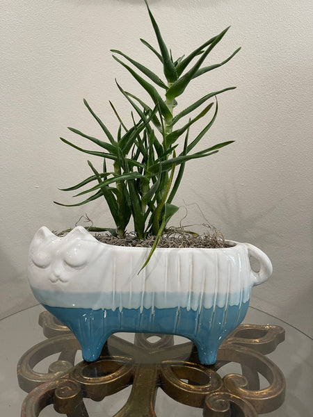 Blue Bottom Cat Planter