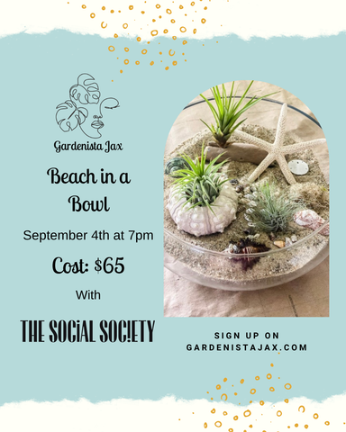 9/4 Beach in a Bowl at The Social Society