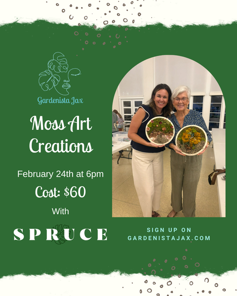 2/24 Moss Art at Spruce