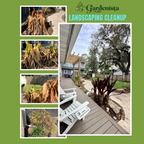 Landscape Cleanup Service