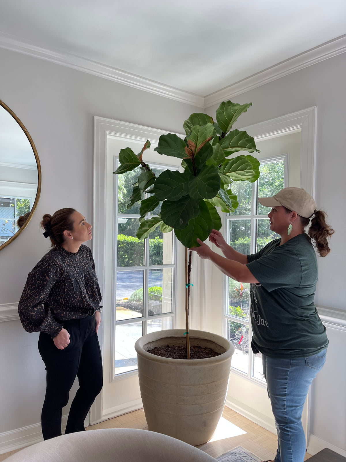 Plant Concerns Consultation