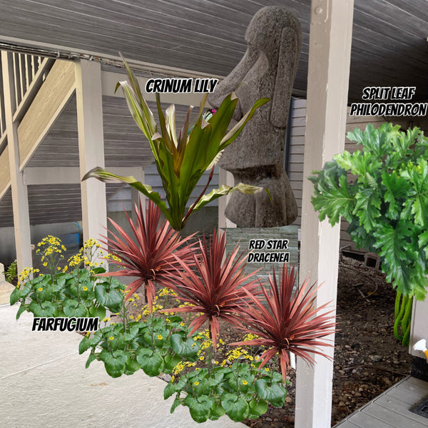 Virtual Landscape Advice with Planning Consultation