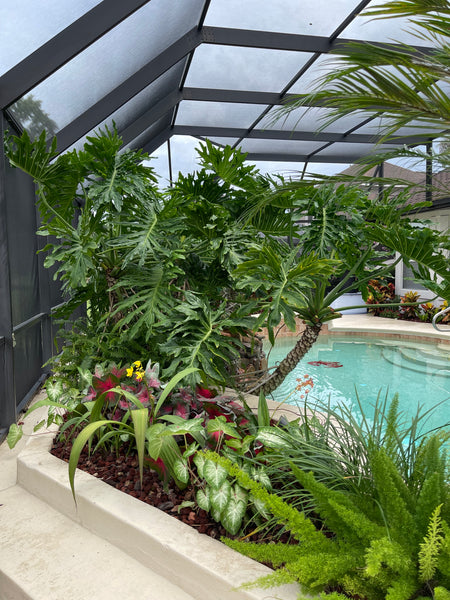 Landscape Maintenance Consultation