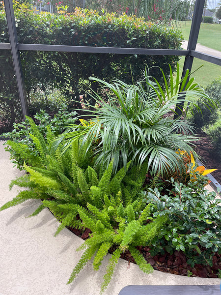 Landscape Maintenance Consultation