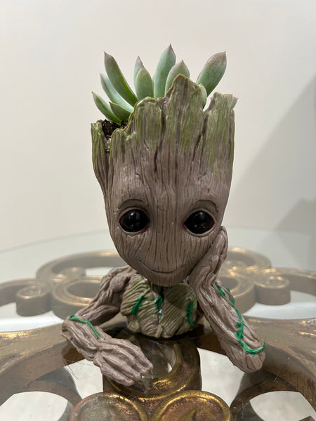 Groot Planters