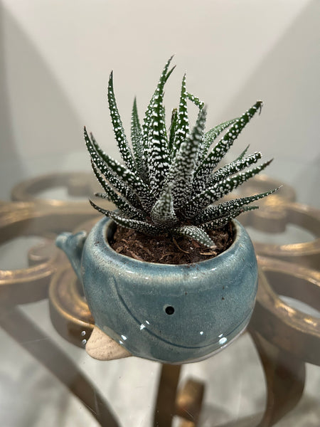 Blue whale planter