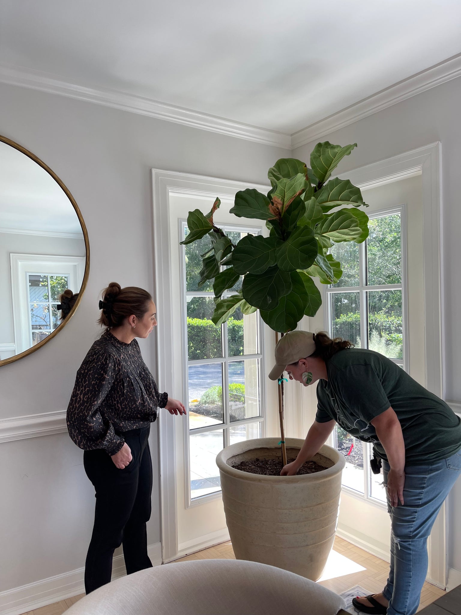 Plant Concerns Consultation