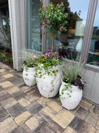 Luxe Pots
