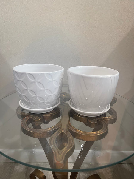 5.5” white pots