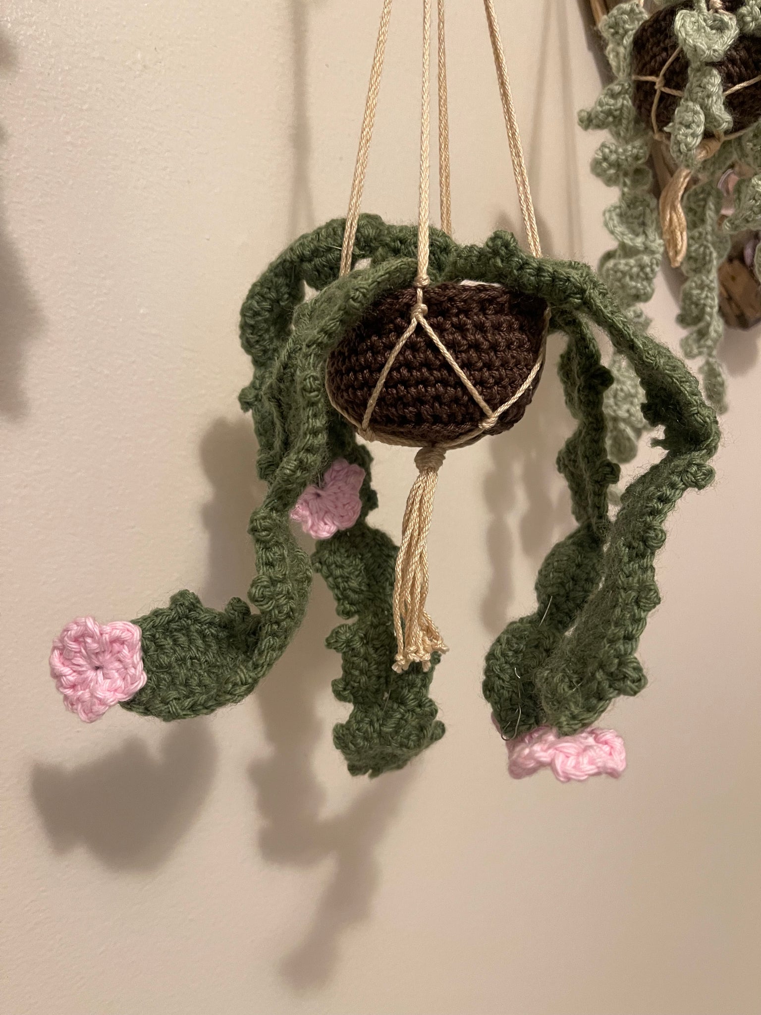 Handmade Crochet Hanging Plant