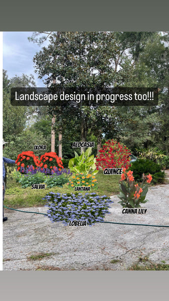 Landscape Design with Advice Consultation
