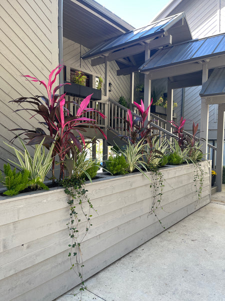 Landscape Maintenance Consultation