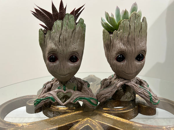 Groot Planters