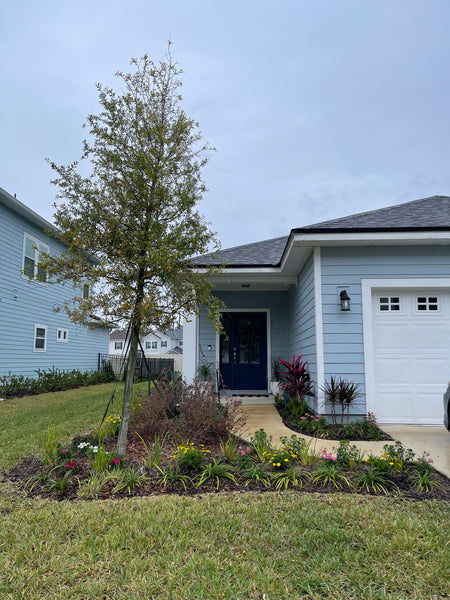 Landscape Maintenance Consultation