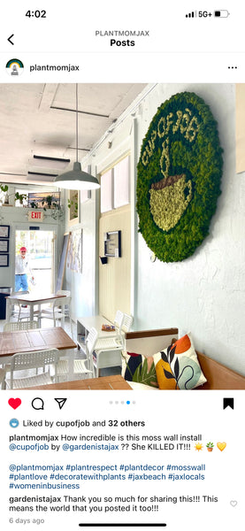 Moss Wall Creation Consultation