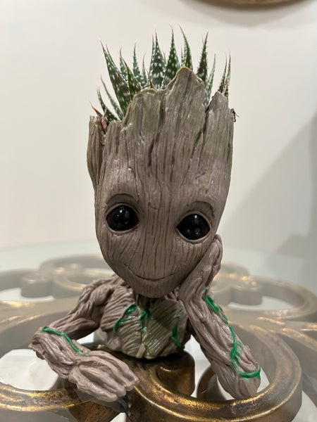 Groot Planters