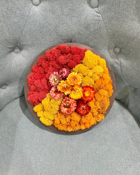 2/24 Moss Art at Spruce