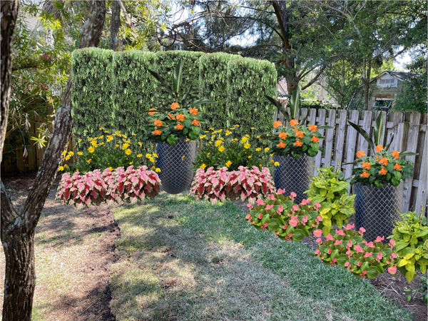 Virtual Landscape Advice with Planning Consultation