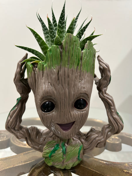 Groot Planters