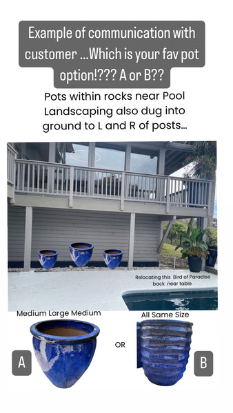 Landscape Design with Advice Consultation
