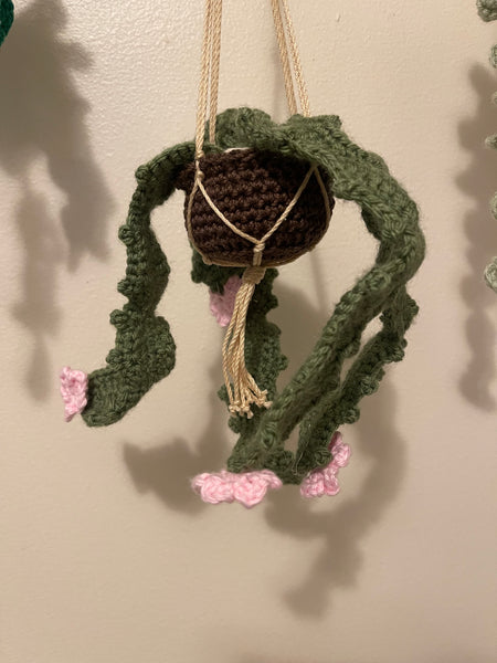 Handmade Crochet Hanging Plant
