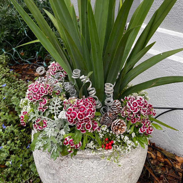Seasonal Select Planter Insert