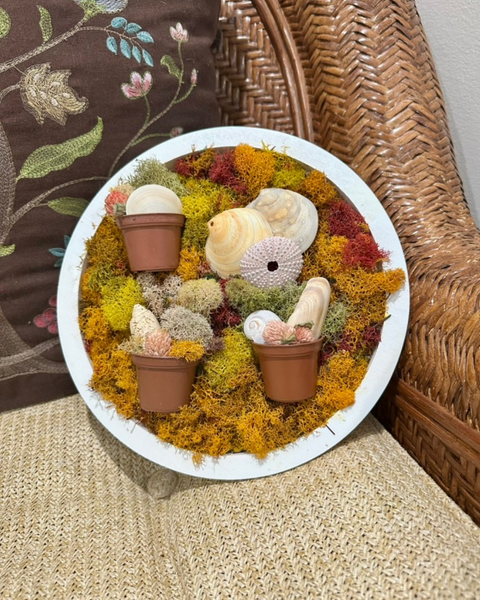 2/24 Moss Art at Spruce