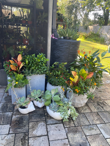 Outdoor Plant Creation