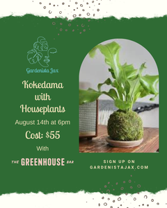 8/14 Kokedama with Houseplants at The Greenhouse Bar