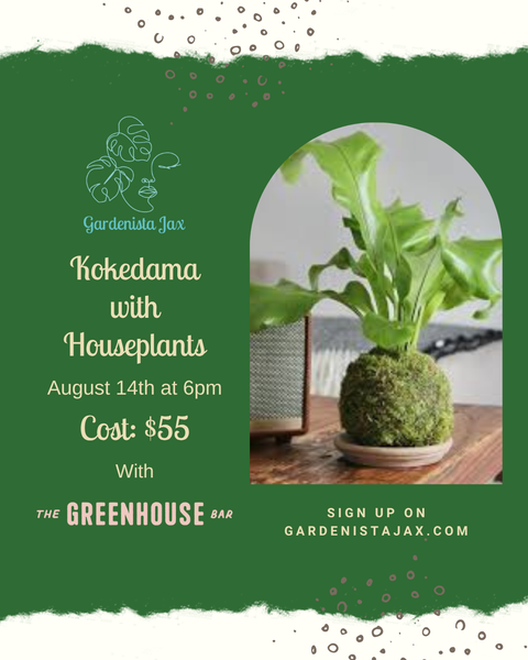 8/14 Kokedama with Houseplants at The Greenhouse Bar
